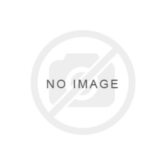Εικόνα της NASCAR® Next Gen Chevrolet Camaro ZL1